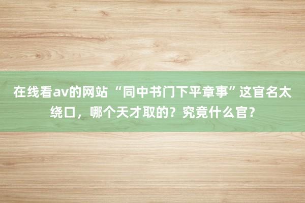 在线看av的网站 “同中书门下平章事”这官名太绕口，哪个天才取的？究竟什么官？